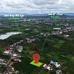 Bán đất nền Tân Hội Lâm Đồng giá 630 triệu, sổ hồng riêng - Ảnh thu nhỏ 4