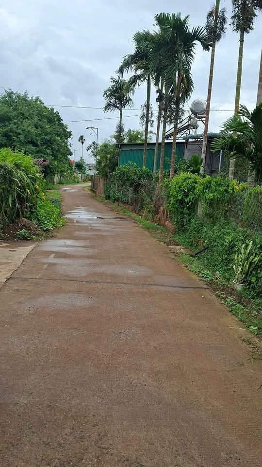 Bán đất Thôn 13 Eakly 300m² 360 triệu - Ảnh 1