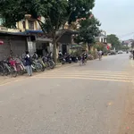 Bán đất 110,4m² mặt tiền 4,66m Liên Thắng, Kim Anh, Hà Nội - Ảnh thu nhỏ 3