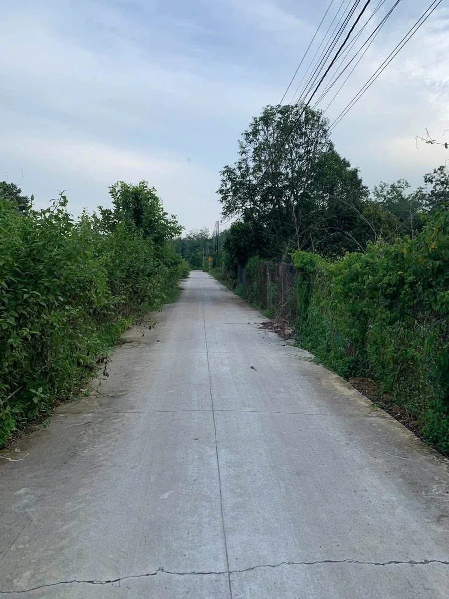 Bán đất Dương Minh Châu Tây Ninh 51m² vườn trái cây - Ảnh thu nhỏ 2