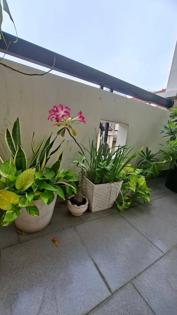 Bán nhà hẻm xe hơi 1 trệt 1 lầu 58m2 đường Hương Lộ 2, Bình Tân - Ảnh thu nhỏ 3