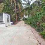 Bán đất Phú Nhuận, Bến Tre, 400m² ngang 9,2m - Ảnh thu nhỏ 3