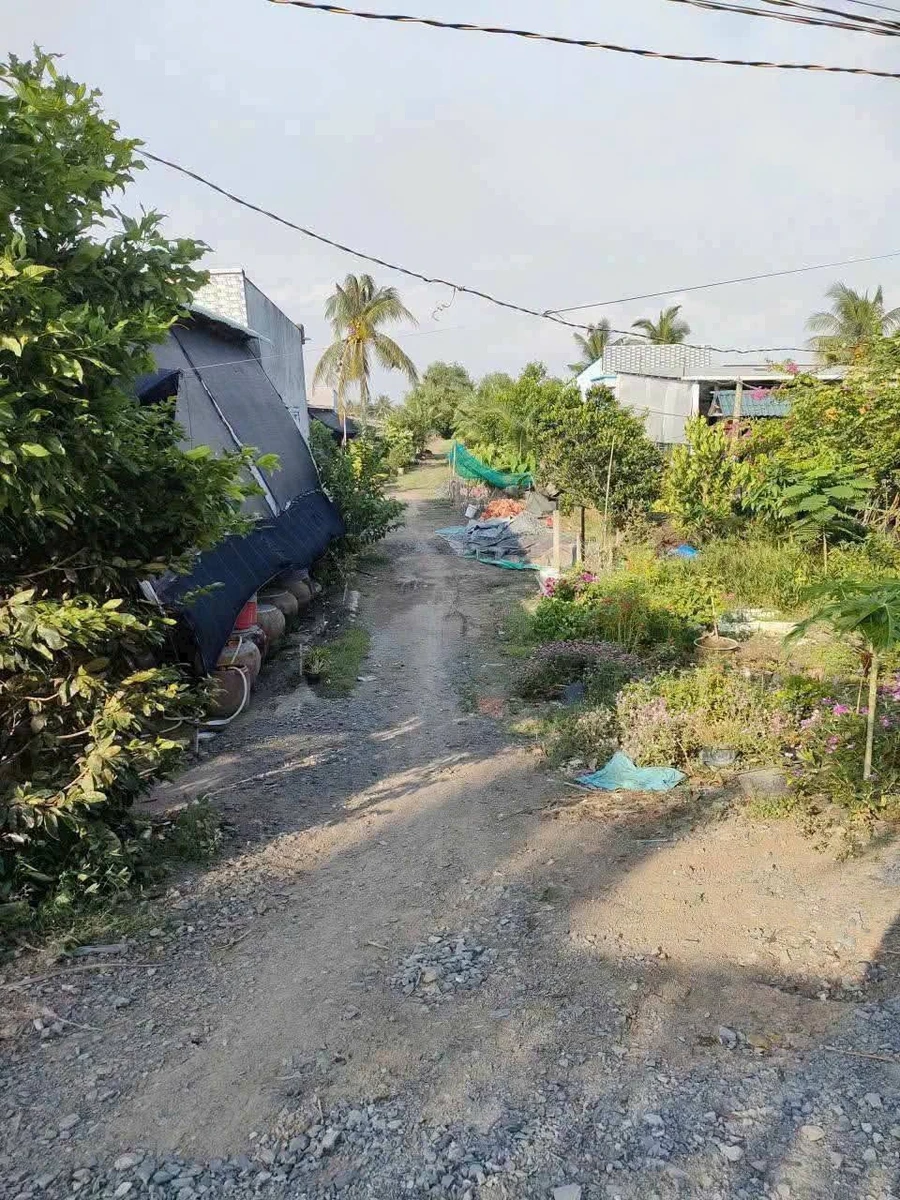 Bán nhà vườn 1097m2 giá 1 tỷ 300 triệu tại Tây Ninh - Ảnh thu nhỏ 2