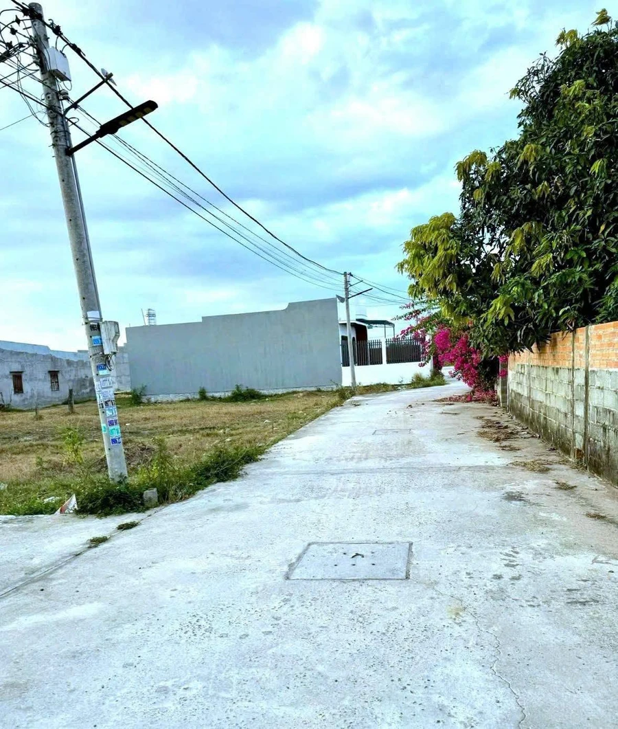 Bán lô đất thổ cư 98.4m² Phong Nẫm, Phan Thiết - Ảnh thu nhỏ 2