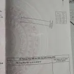 Bán đất nền 243m2 vị trí cách Quốc lộ 54 300m gần trường học gần chợ tiện nghi đầy đủ - Ảnh thu nhỏ 10