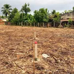 Bán lô đất 50m2 Thị trấn Dương Minh Châu, Tây Ninh - Ảnh thu nhỏ 2