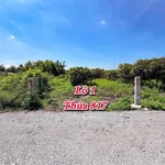 Bán đất thổ cư có nhãn Cầu Khởi 200m2 - 299 triệu - Ảnh thu nhỏ 5