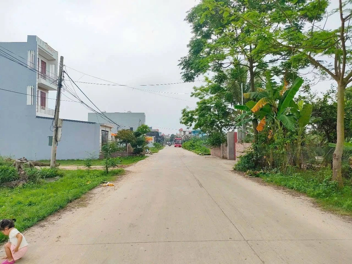 Bán đất giãn dân Ngọc Cục Hải Phòng 100m² 1 tỷ 4 - Ảnh thu nhỏ 2