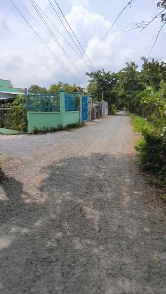 Bán đất 1000m² thị trấn Tân Túc Bình Chánh, giá 3 tỷ 3 - Ảnh 1
