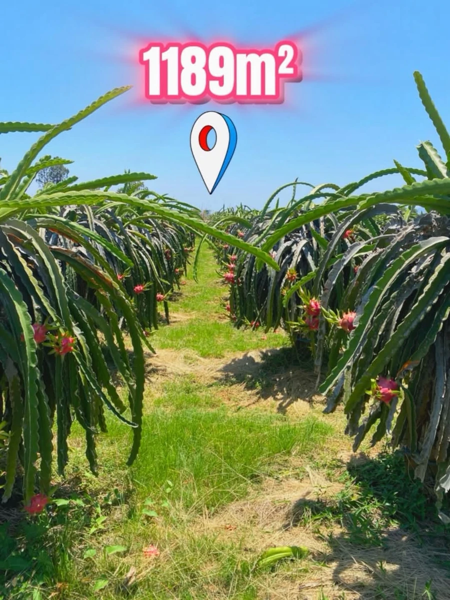 Bán lô đất 1189m² Km14 Hàm Kiệm 345 triệu - Ảnh 1