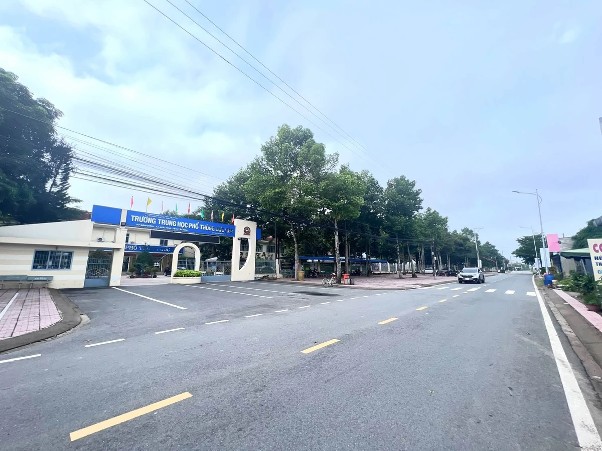 Bán đất mặt tiền Út An, Đức Hoà 150m² 1 tỷ 650 triệu - Ảnh thu nhỏ 3