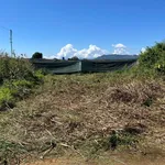 Bán đất giá rẻ - hẻm ô tô 169 Nguyễn Đình Chiểu - Phường 1 Bảo Lộc - Ảnh thu nhỏ 2