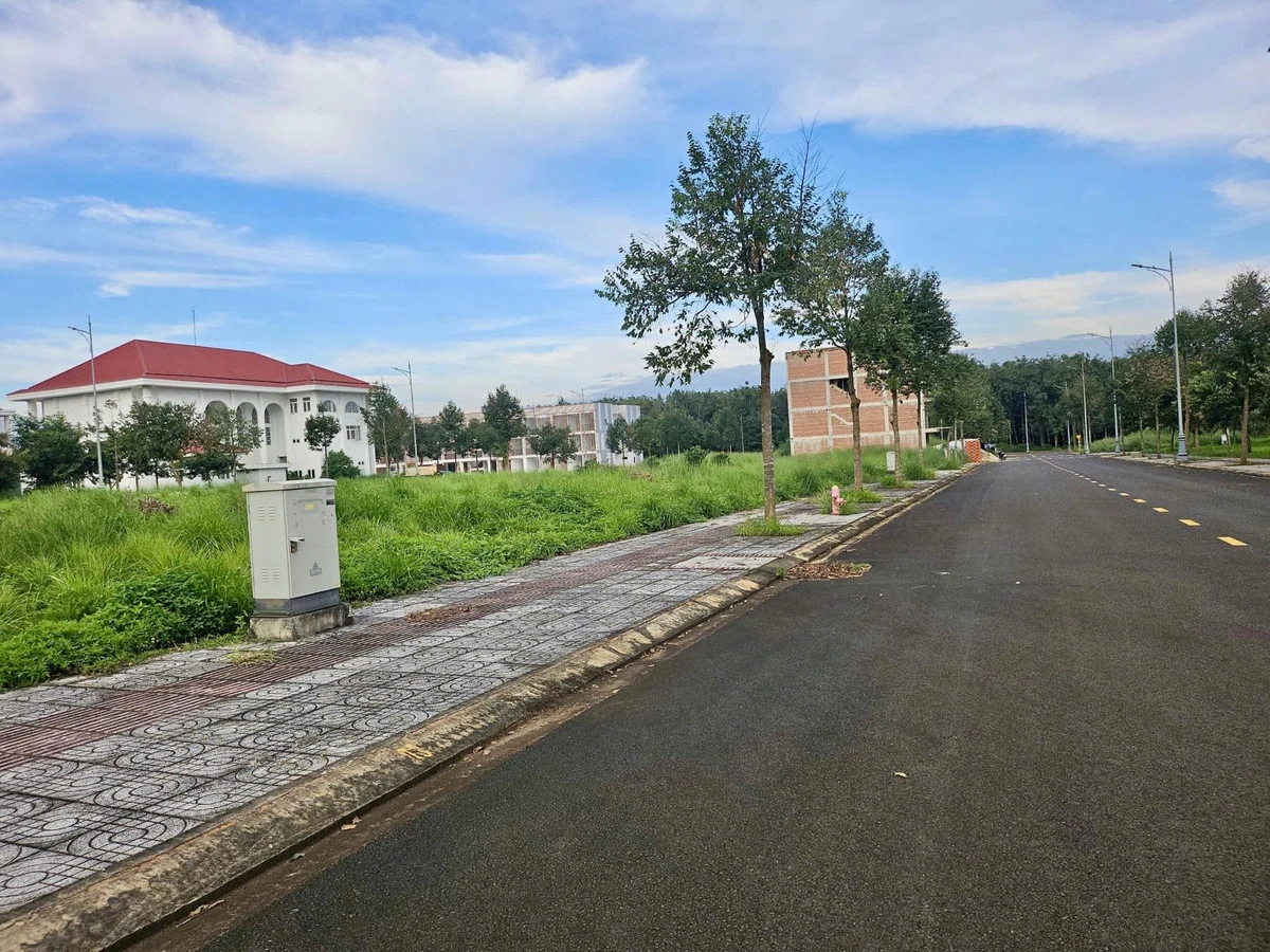 Bán đất nền Ân Phú 100m2, giá 4,05 tỷ - Ảnh thu nhỏ 2