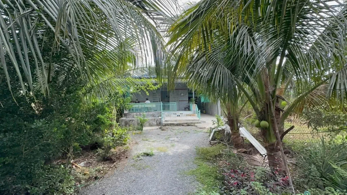 Bán nhà vườn 2.049m² trái cây Xã Phú Vinh, Đồng Nai - Ảnh thu nhỏ 3