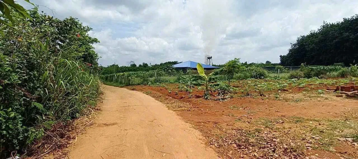 Đất bán Bù Đốp Bình Phước 1 sào 270 triệu - Ảnh thu nhỏ 2