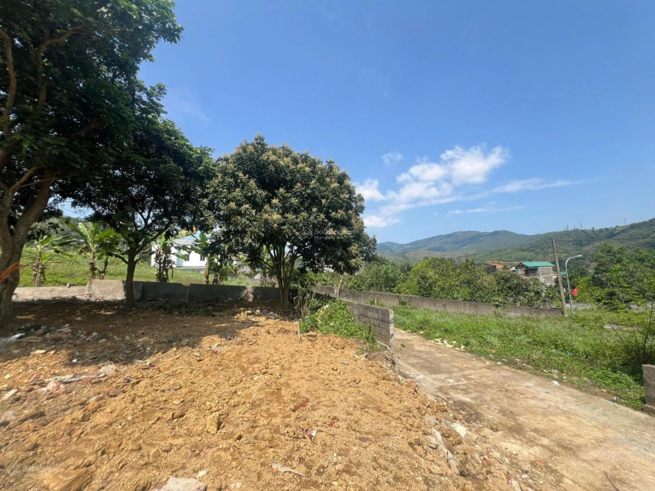 Cần tiền bán gấp 420m2 full đất ở tại Lâm Sơn, Lương Sơn, đất hai mặt đường, cách QL6 100m - Ảnh 1