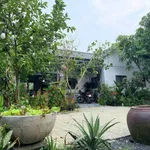 Bán nhà sân vườn 900m² 2PN Tây Ninh 3tỷ600tr - Ảnh thu nhỏ 5