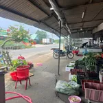 Đất đối diện chợ 500m2 - 2 tỷ 5 Becamex Bình Dương - Ảnh thu nhỏ 1