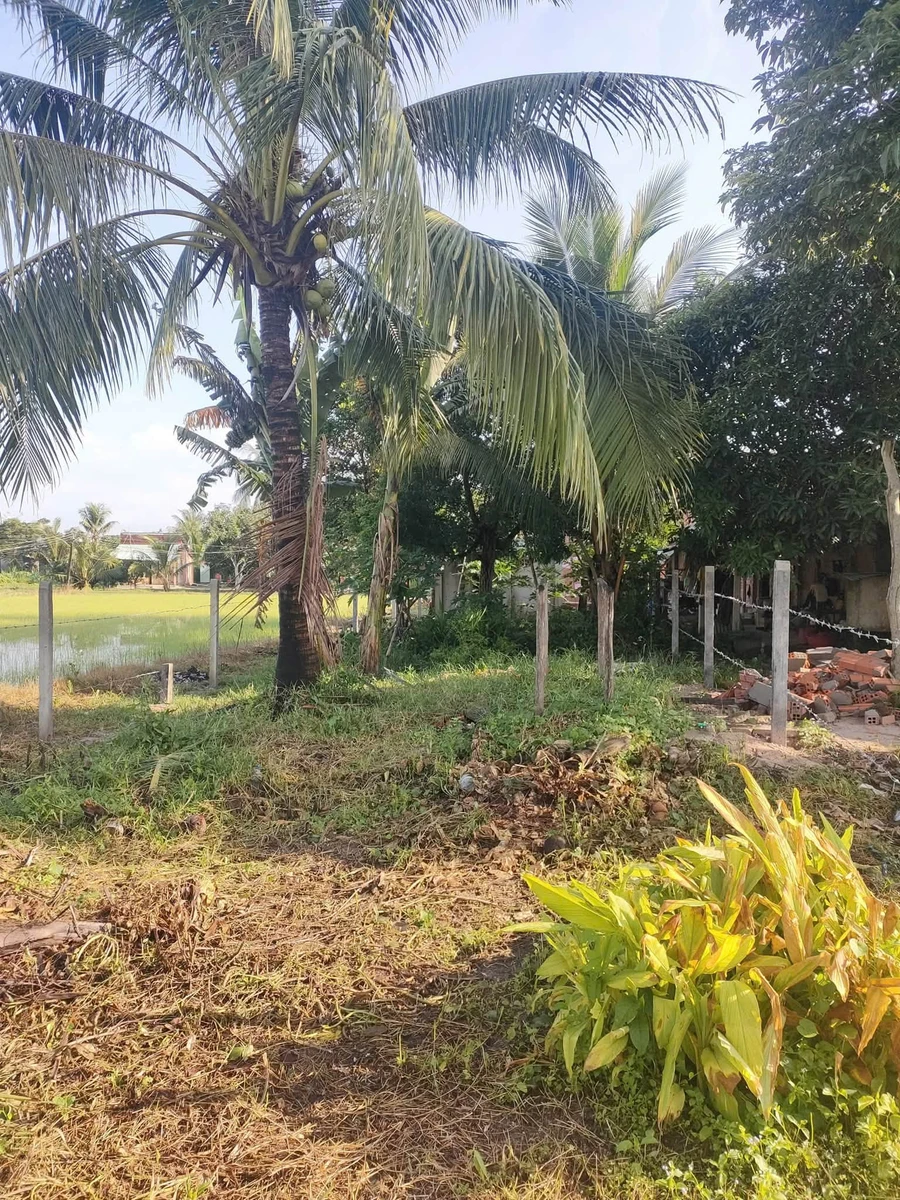 Bán nhà đất 150m² Tây Ninh 420 triệu - Ảnh 1