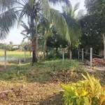 Bán nhà đất 150m² Tây Ninh 420 triệu - Ảnh thu nhỏ 1