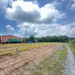 Bán đất thổ cư 100% gần KCN Thạnh Đức 5x20m, 190tr - Ảnh thu nhỏ 4