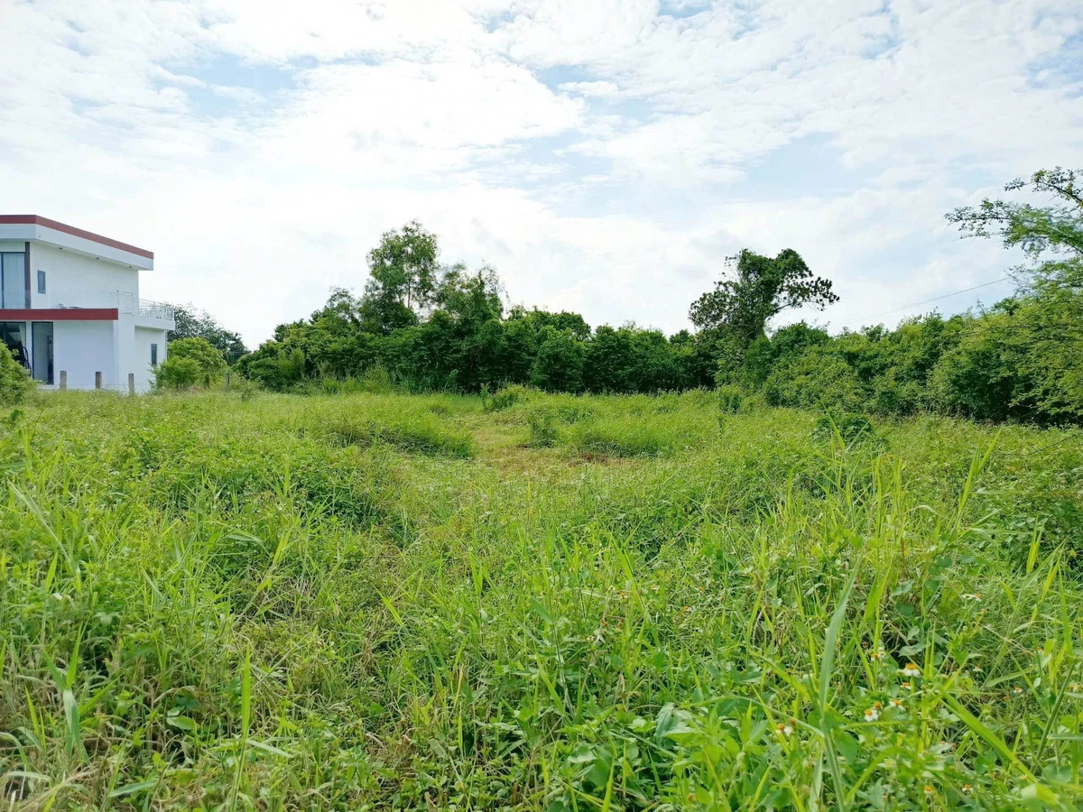 Bán đất 2.000m² Hàm Hiệp, Lâm Đồng, sổ hồng - Ảnh thu nhỏ 2