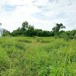 Bán đất 2.000m² Hàm Hiệp, Lâm Đồng, sổ hồng - Ảnh thu nhỏ 2