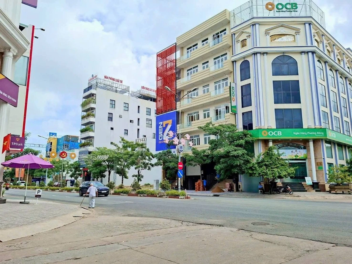 Bán biệt thự 250m2 đường số 9 khu trung tâm hành chính Dĩ An, Bình Dương - Ảnh thu nhỏ 2