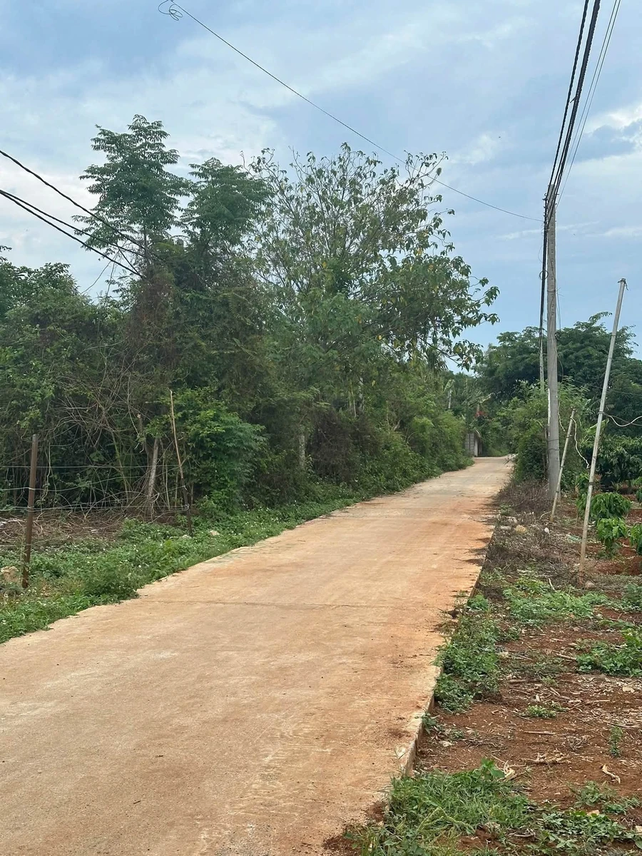 Bán đất hẻm Dã Tượng 100m² Tân An, Bình Chánh 1.09 tỷ - Ảnh thu nhỏ 3