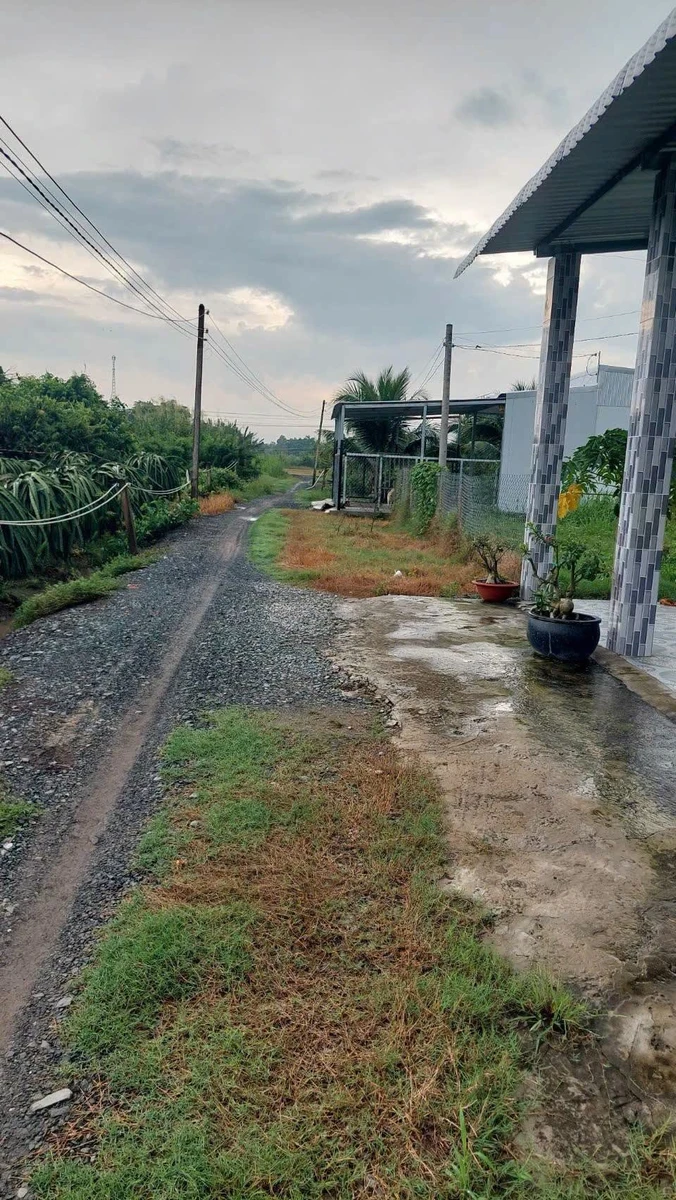 Bán lô đất thổ cư 133 m2 Mỷ An, Thủ Thừa, Long An - Ảnh thu nhỏ 3