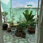 Bán nhà khu Ngọc Vân, Phường Phước Hậu, Tỉnh Vĩnh Long vị trí đẹp - Ảnh thu nhỏ 18