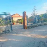 Bán lô đất 1.535m2 tặng nhà vườn An Điền 3 tỷ - Ảnh thu nhỏ 1
