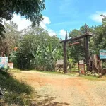 Bán đất nền 3.410m² Tánh Linh Bình Thuận 1,4 tỷ - Ảnh thu nhỏ 2