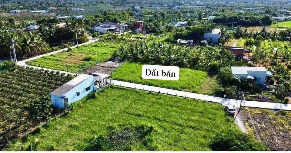 Bán đất thổ 120m² tại Xã Tầm Vu, Long An - 395 triệu - Ảnh thu nhỏ 4