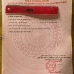 Bán đất 125m² mặt tiền Hưng Mỹ 290 triệu - Ảnh thu nhỏ 3