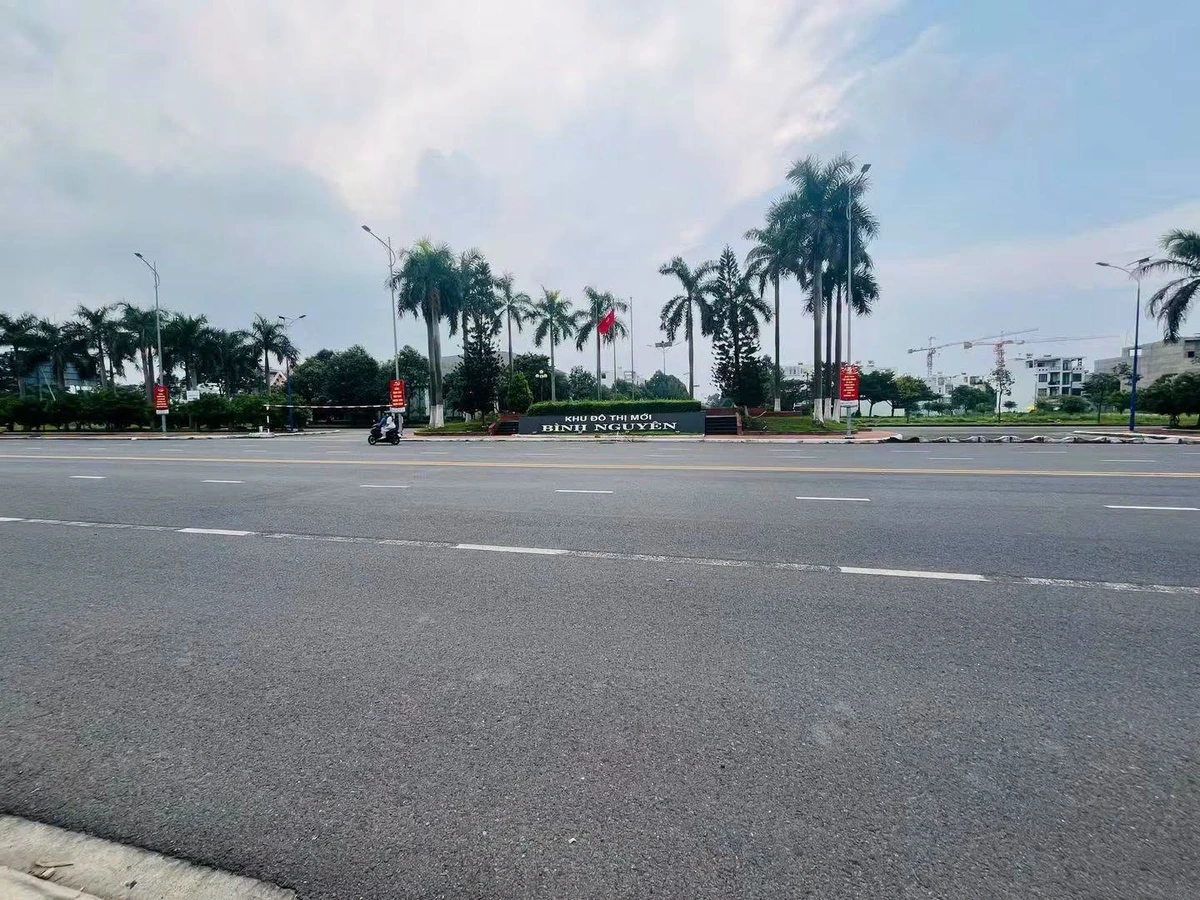 Bán biệt thự 300m2 đường N6 Dĩ An 13.5 tỷ - Ảnh thu nhỏ 5