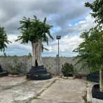 Bán đất vườn 978m² sổ riêng gần biển Phan Thiết - Ảnh thu nhỏ 3