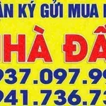Bán đất 1.586m2 gần Huỳnh Văn Đảnh 1 tỷ 750 - Ảnh thu nhỏ 4