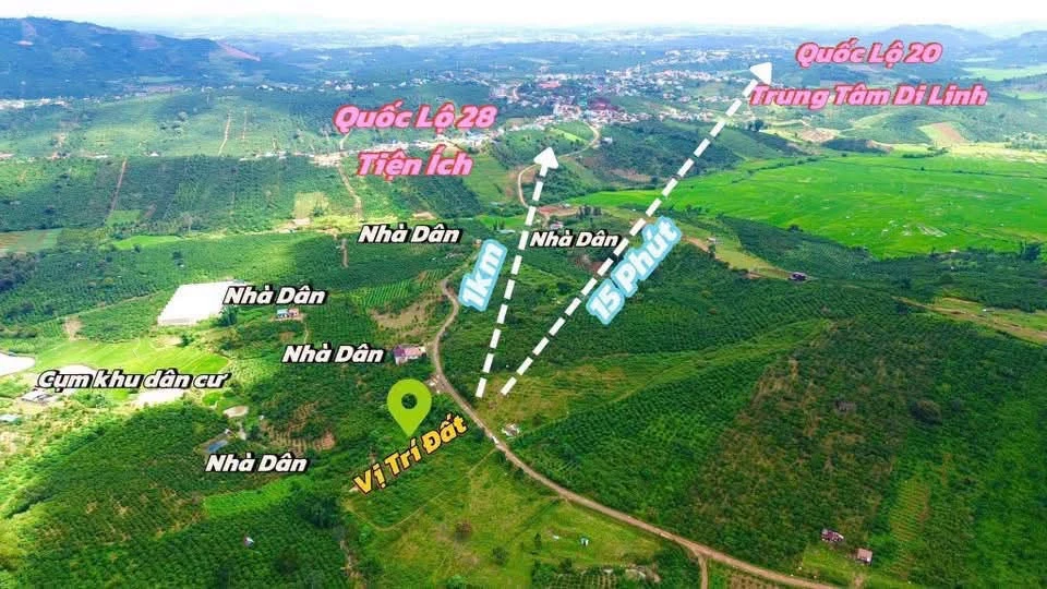 Bán đất 1050m² Di Linh Lâm Đồng 890 triệu - Ảnh thu nhỏ 5