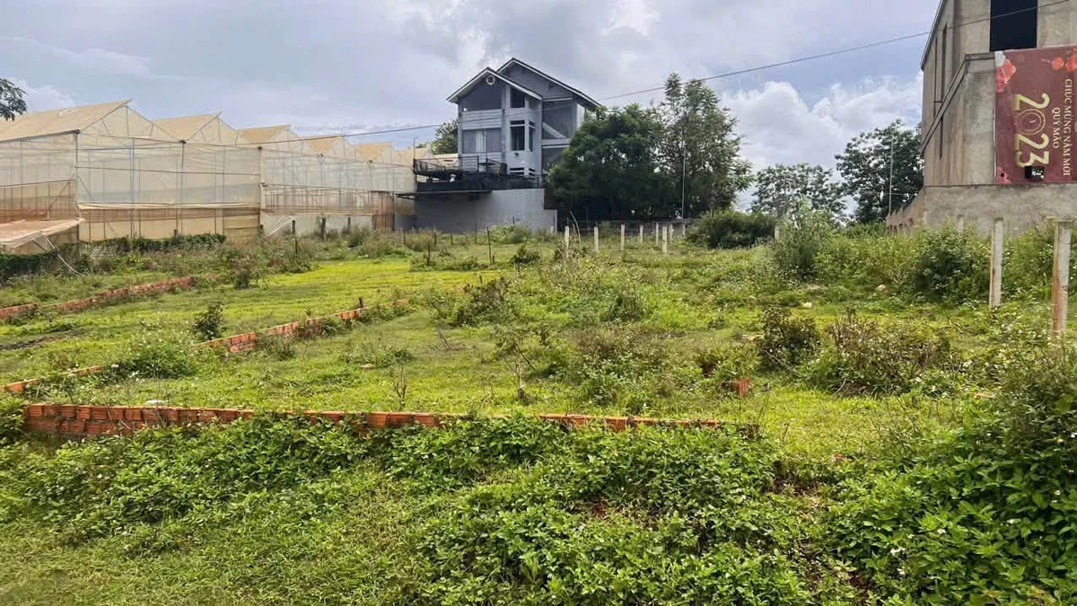 Bán đất thổ cư 200m² đường ô tô Đà Lạt - Ảnh thu nhỏ 2