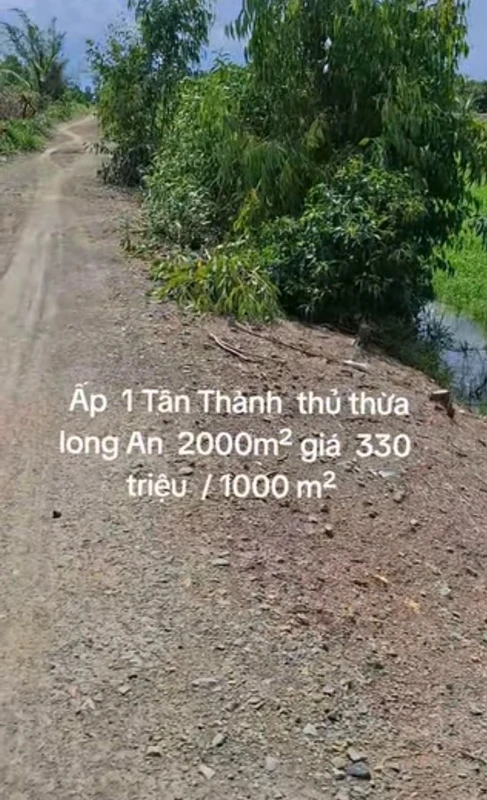 Bán 2 công đất Thủ Thừa Long An, 330 triệu