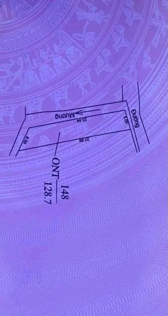 Bán đất 128m² mặt tiền 5m An Lâm Nam Sách - Ảnh 1