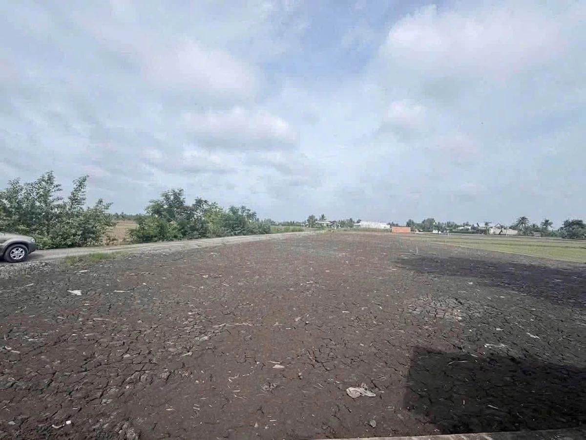 Bán đất thổ cư 265m² mặt tiền Cần Giờ 980 triệu - Ảnh thu nhỏ 5