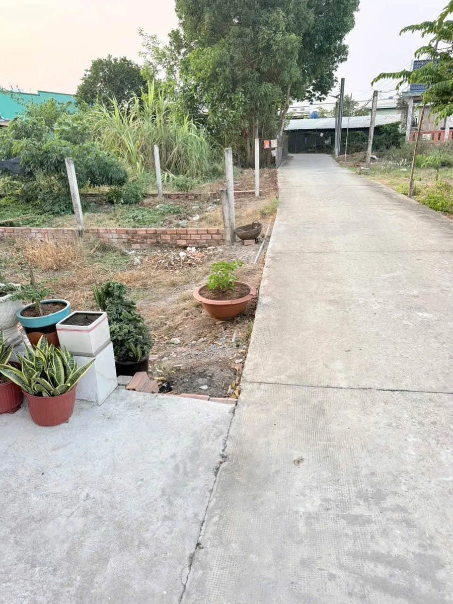 Bán nhà cấp 4 mặt tiền 202m² Trần Văn Thôi Cần Giuộc - Ảnh thu nhỏ 3