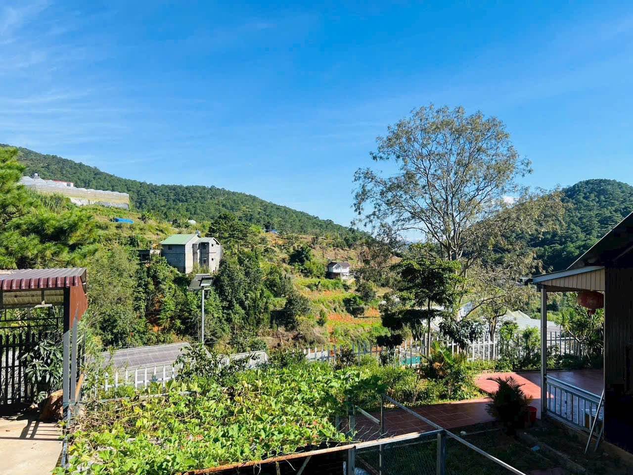 Bán nhà vườn 3PN 500m² Đà Lạt 5,5 tỷ - Ảnh thu nhỏ 3