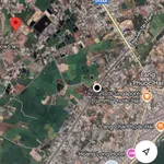 Bán đất 1865m2 Phước Hải, cách biển 3km, giá 7.5 tỷ - Ảnh thu nhỏ 5