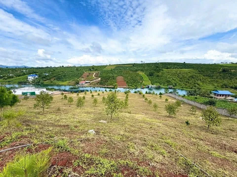 Bán đất 1,2 hecta Bảo Lộc view hồ 16,6 tỷ - Ảnh thu nhỏ 5