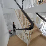 Bán nhà phố 3 PN, 60m² trung tâm Đà Lạt, 7,4 tỷ - Ảnh thu nhỏ 5