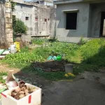 Bán đất nhà vườn không gian yên tĩnh giá siêu tốt - Ảnh thu nhỏ 1