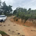Chính chủ bán 56 hecta rừng keo 4 năm chỉ 320 triệu/hecta (quy hoạch trang trại) - Ảnh thu nhỏ 2